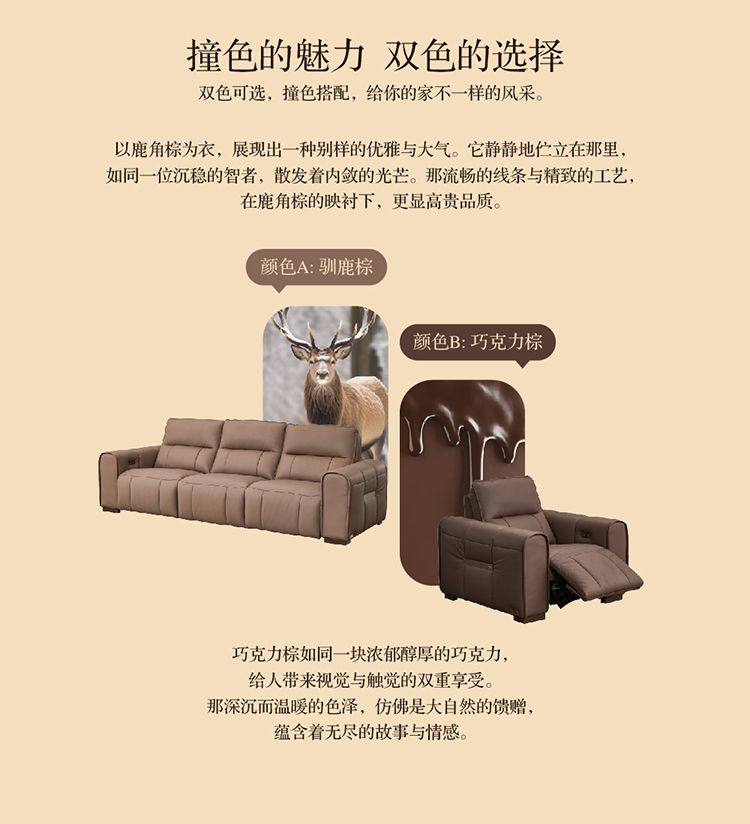 安第斯产品详情 2