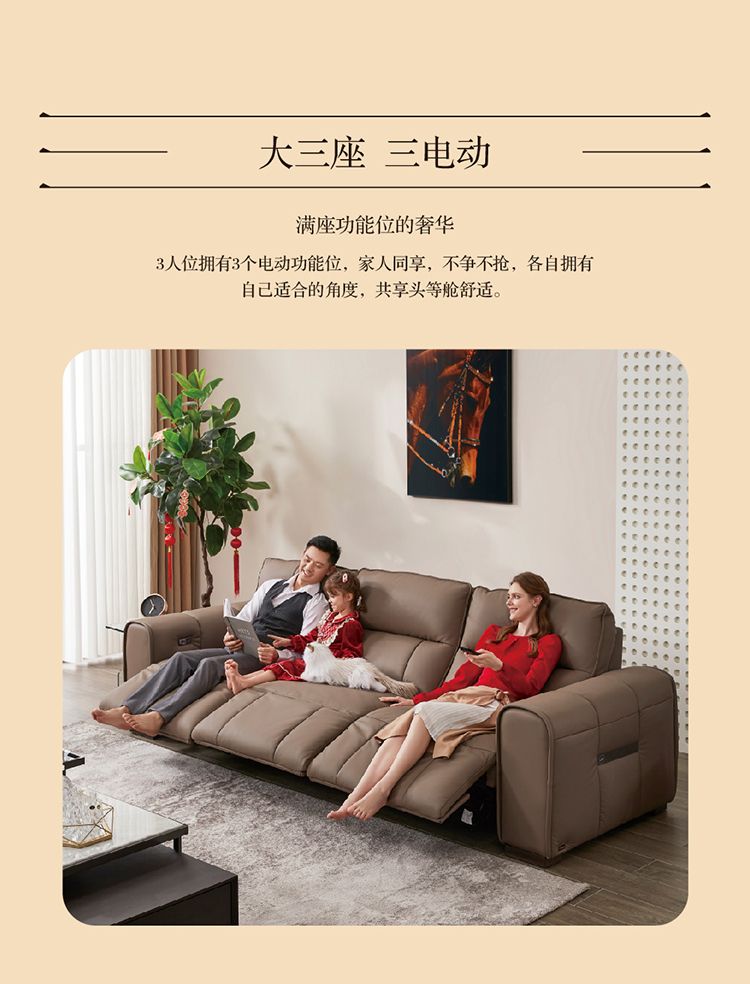 安第斯产品详情 5